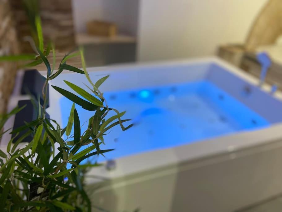 Lover Dose Spa Вьерзон Экстерьер фото